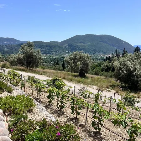 Vasiliki Houses Semesterbostad