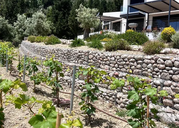 Hébergement de vacances Vasiliki Houses