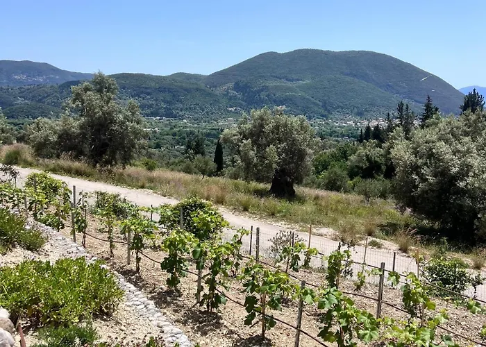 Vasiliki Houses Hébergement de vacances