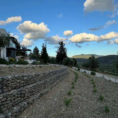 Vasiliki Houses ヴァシリキ