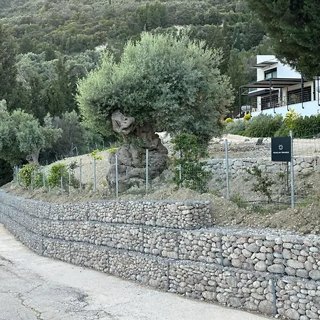 Vasiliki Houses * ヴァシリキ