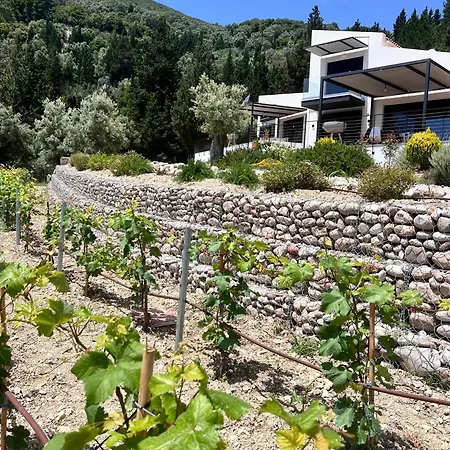 別荘 Vasiliki Houses