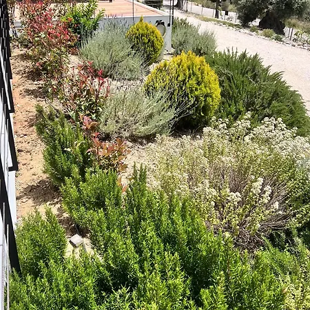 度假居 Vasiliki Houses 瓦西利基