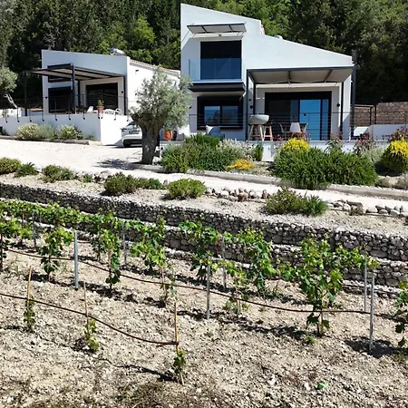 Vasiliki Houses