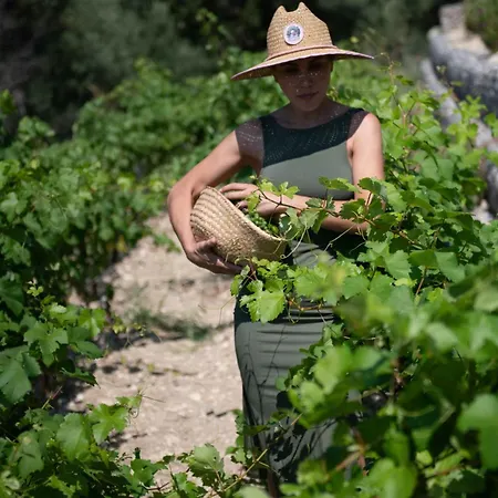 Vasiliki Houses Vakantiehuis